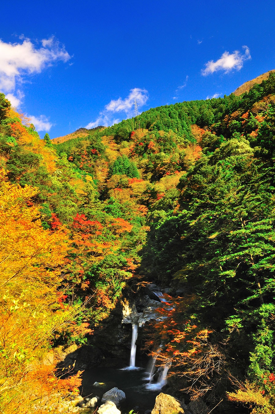 大轟の滝周辺の紅葉。