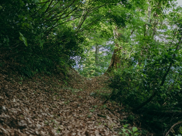 季節ごとに違った表情を見せてくれる里山。
