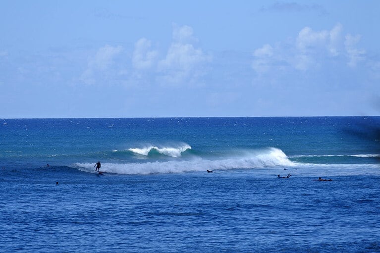 夏は波が穏やかなはずが、この日の波はややサイズがありました。