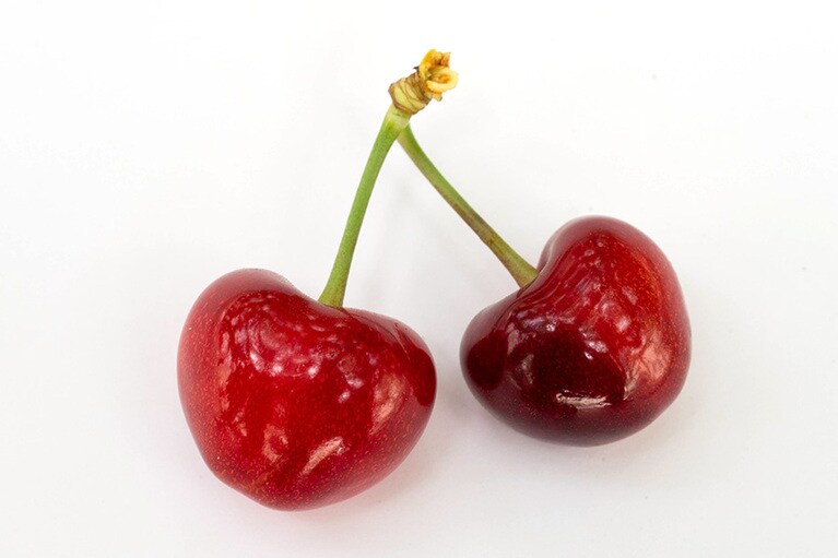 ぷっくりハート形♡でハリがある。