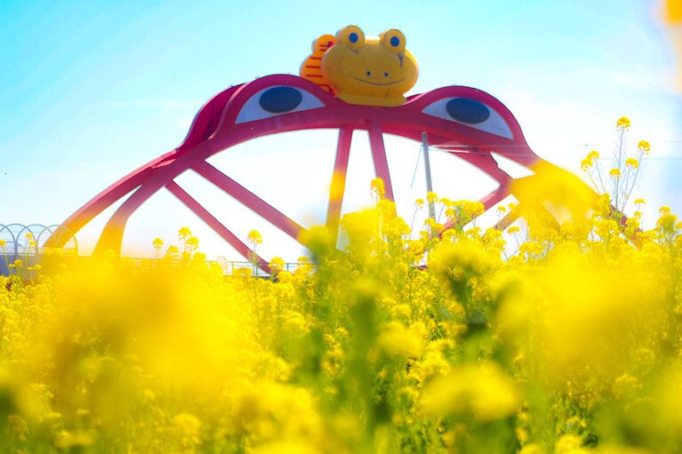 【和歌山県】かえる橋。