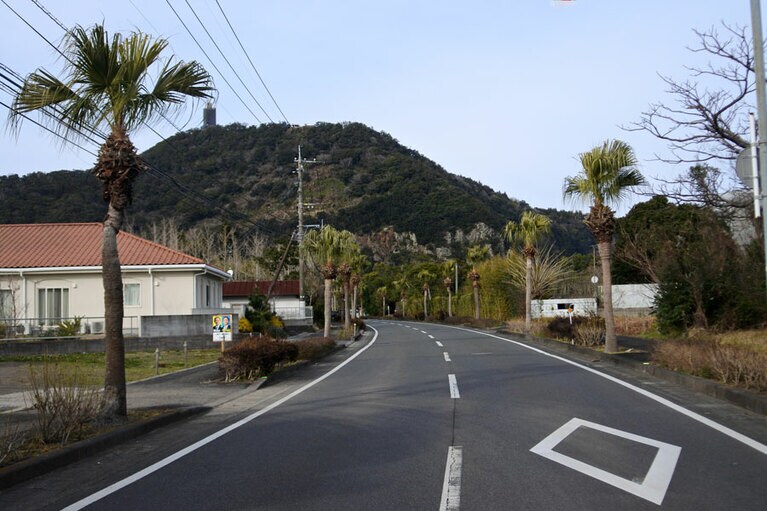 海沿いと並行して走る県道238号。ヤシの木が茂り、どことなくハワイのよう。毎年4月下旬から10月末まで市の職員などはアロハシャツがユニフォームに。