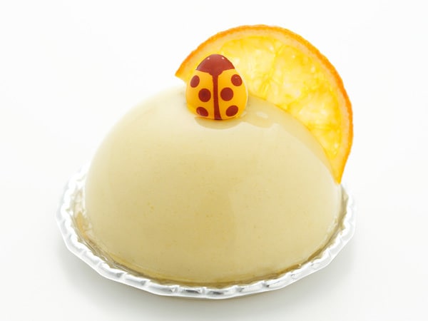 東京のおすすめ手みやげ「ピエール・ガニェールのケーキ」写真