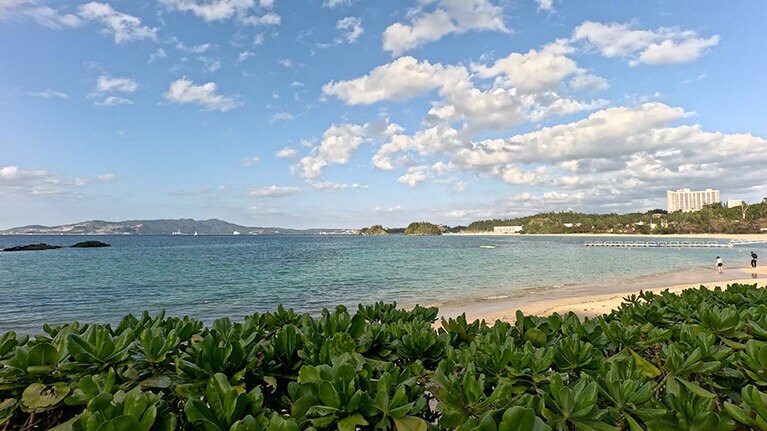 こちらも動画から切り抜きました。