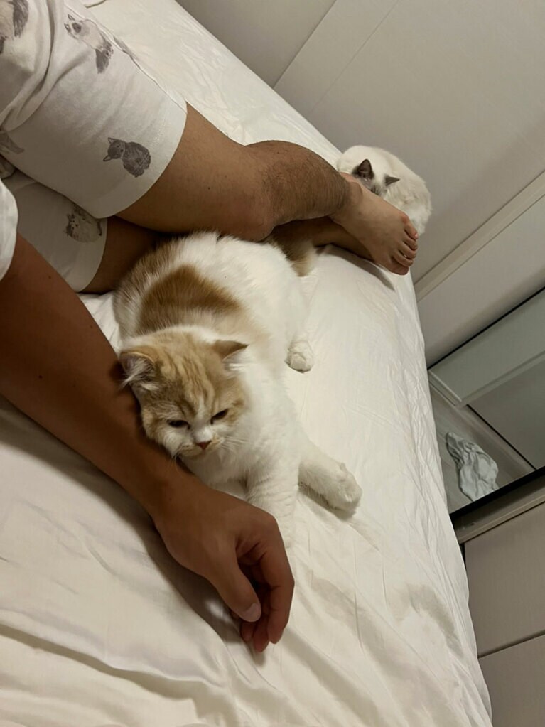 うちの子ベストショット⑤「あんなに触られるのを嫌がっていたのに」