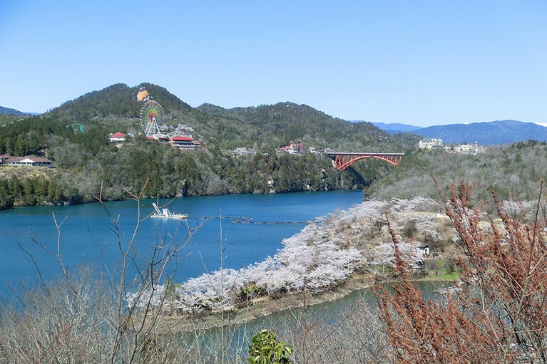 恵那峡の桜／岐阜県