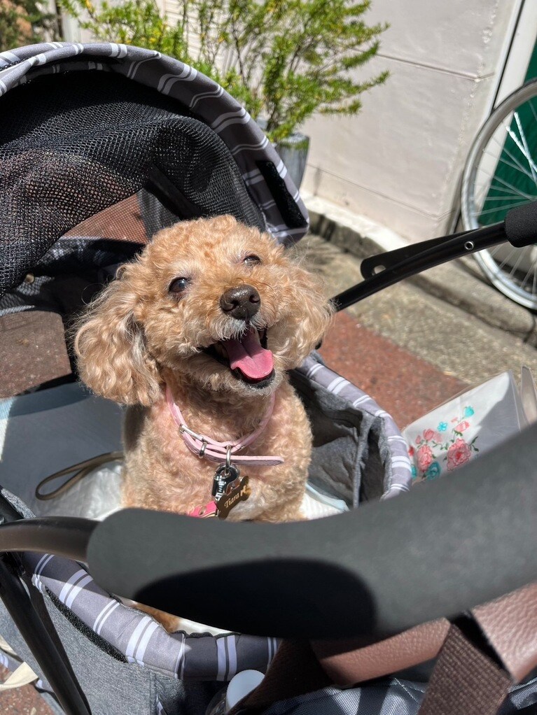 「テンション上げ上げの娘」