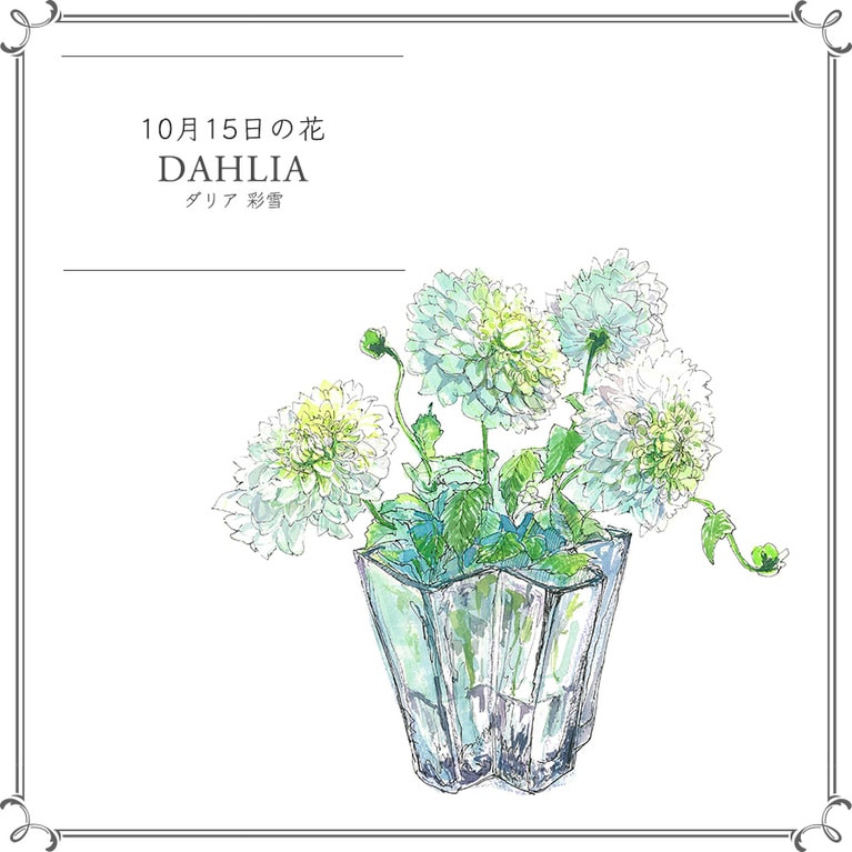 10月15日の花「ダリア 彩雪」