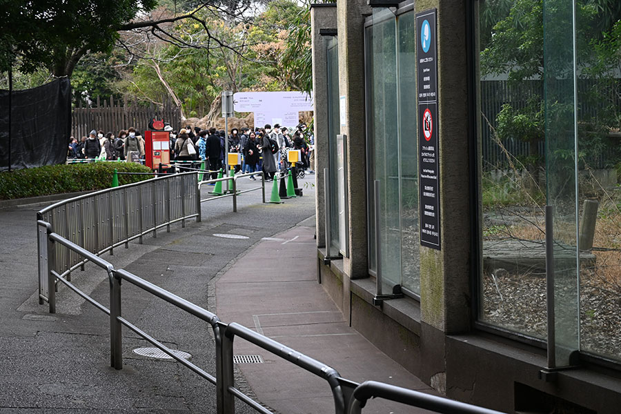 上野動物園の東園パンダ舎の屋外公開エリア。ガラス張りで柱がある。車椅子利用者ら以外は、写真の柵の外側からシャンシャンを観覧していた。2023年2月19日（日）撮影。現在はパンダ不在で立入禁止（シャンシャンの父母と弟妹は西園パンダ舎にいる）。