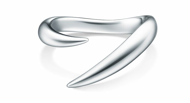 デインジャー ホ ー ン プラス リング（WG）440,000円。