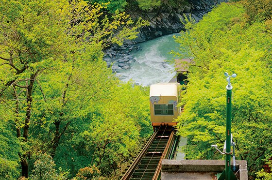 【和の宿 ホテル祖谷温泉】