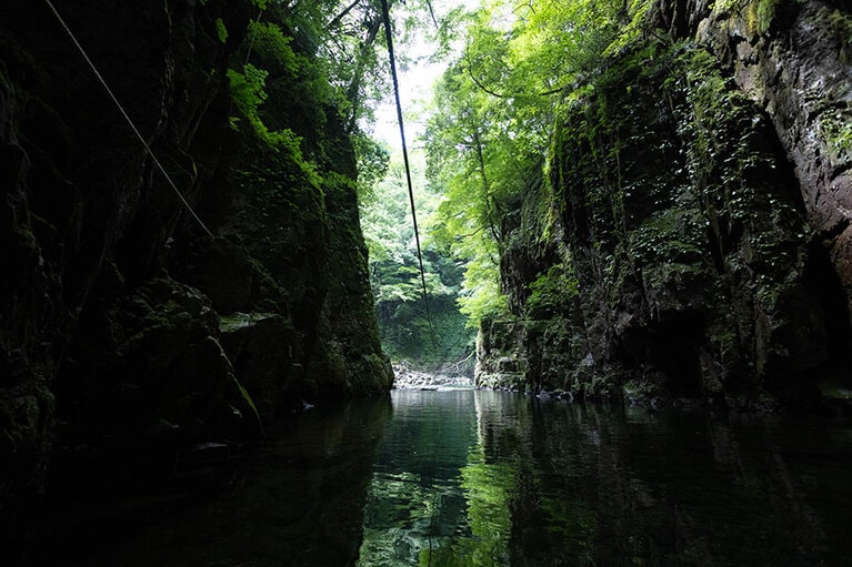 峡谷内に張り巡らされたロープ。このロープを伝って船は進みます。