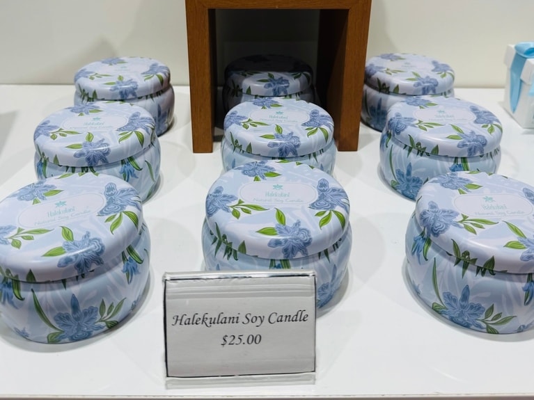 環境にもやさしい素材がうれしい。