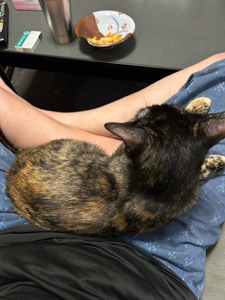 華山・やすいさんと愛猫のセンちゃん。