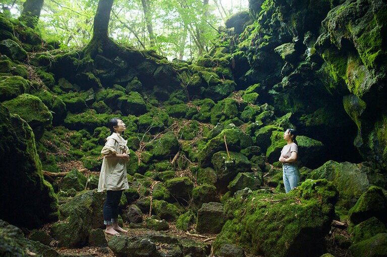 短時間でも深い癒やしが得られる「樹海瞑想」。