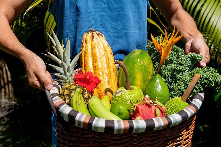 クアロア・ランチでとれるフルーツ。