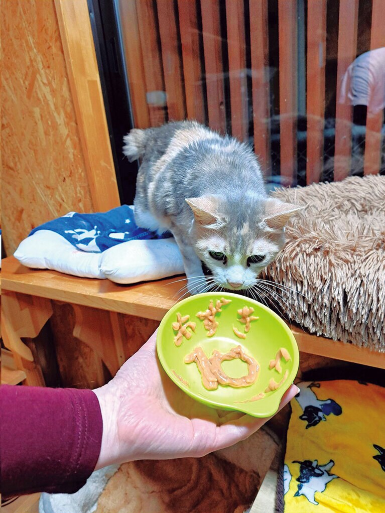 10歳の誕生日祝いにちゃおちゅ～るのごちそう。