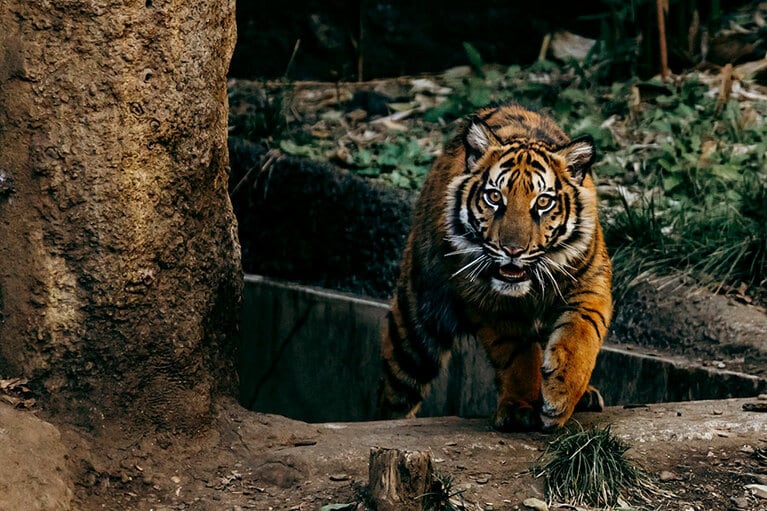 しばらく様子を伺い、安心したのか、少しずつ姿を見せてくれました。