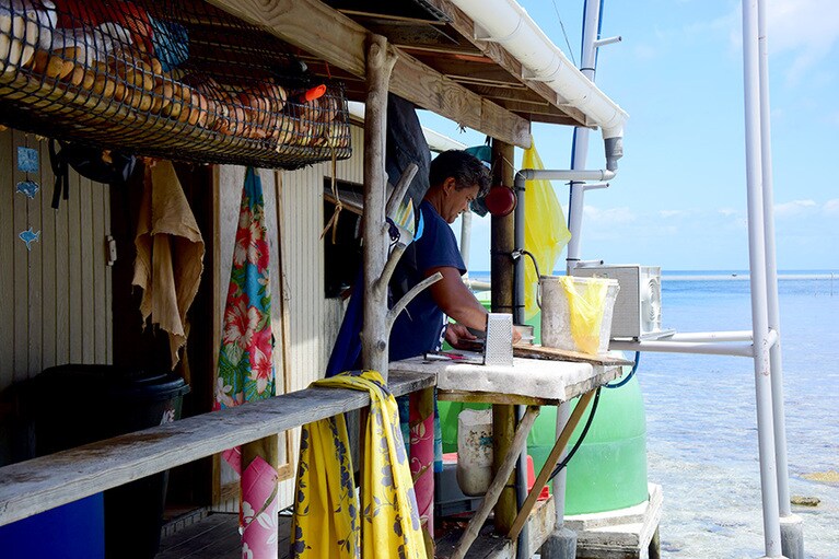釣ってきた魚をさばくスタッフ。