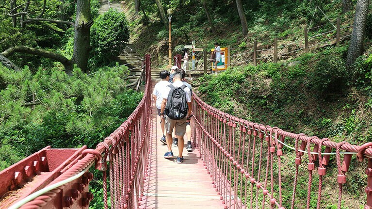 吊り橋を渡って森の中を散策。