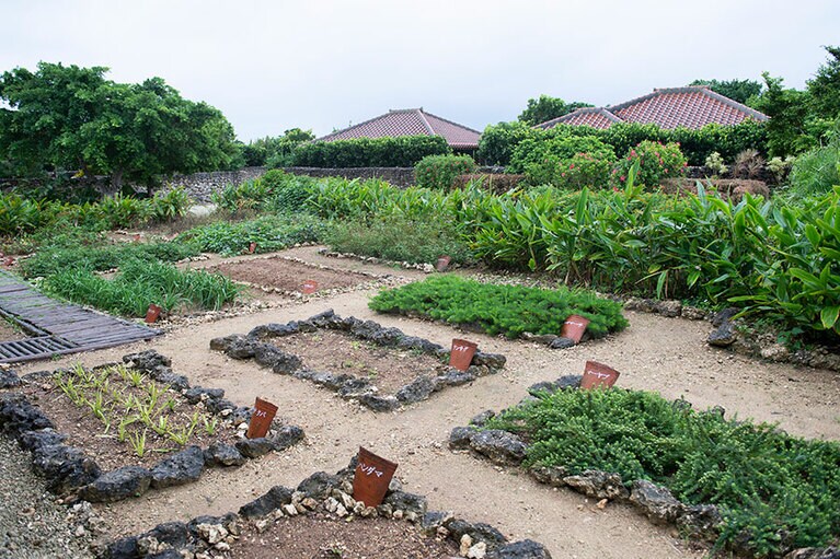 ハンダマ、ハテクバ、マーヤブ……聞き慣れない野菜の名前を調べるのも楽しい。