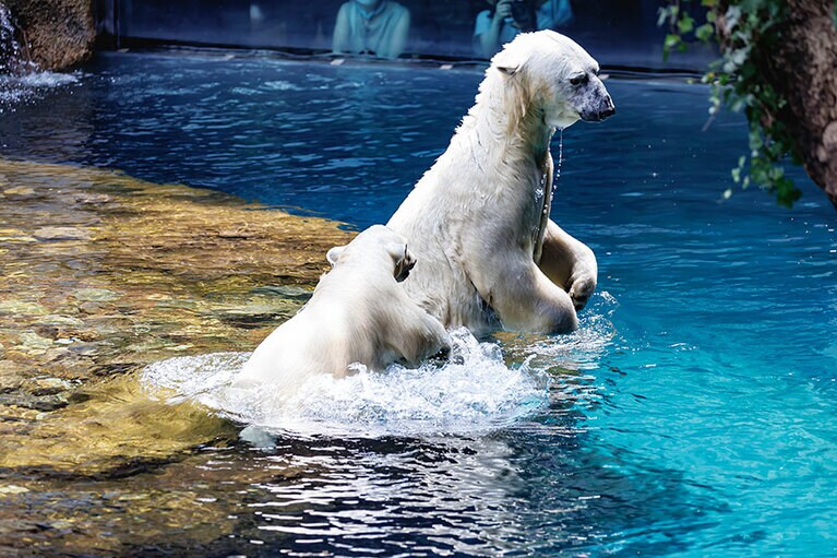 イッちゃんとライ。