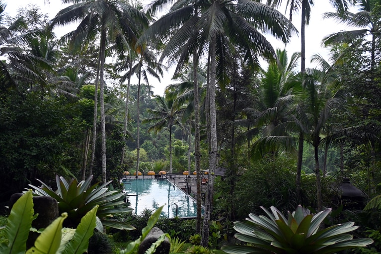 緑に包まれた静謐なリゾートに、アイデアや遊び心がてんこ盛り。