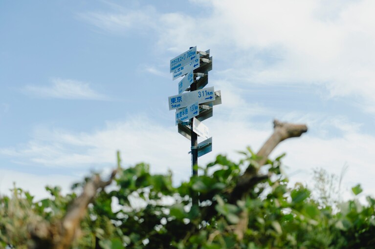 歌人・上坂あゆ美と巡る、のびのびとして、自然な“佐渡島の美”