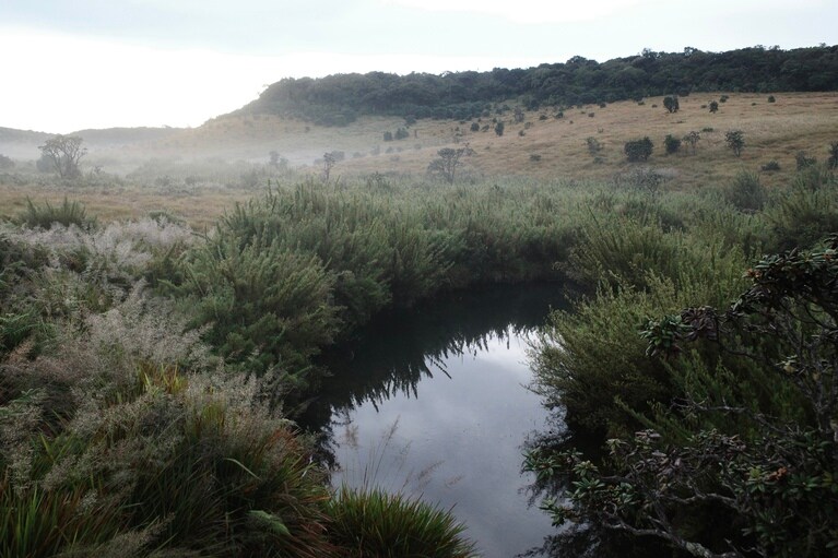 広い高原は開放感があり、ひんやりとした朝の空気が気持ちいい。