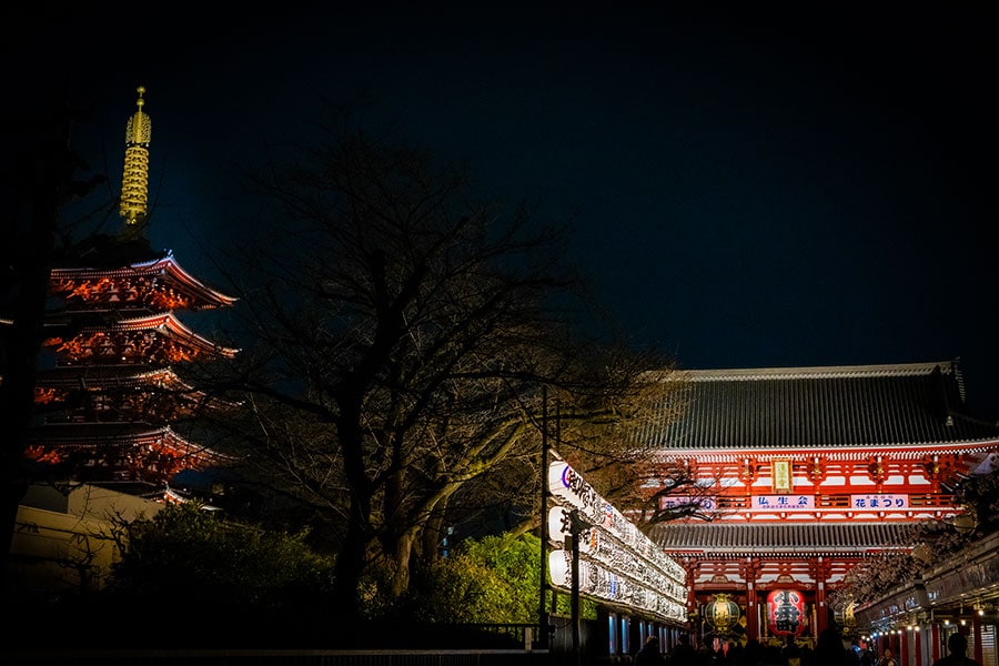 ライトアップされた浅草寺は美しく、夜も観光客で賑わう。22時を回っていてもおみくじを引くことができ、結果は大吉。楽しい浅草の夜が更けていく。
