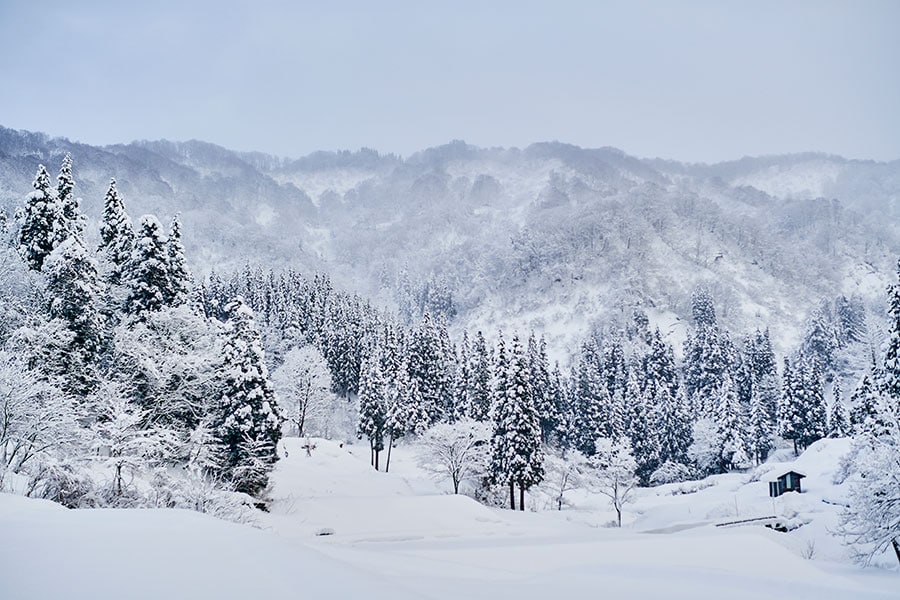 目の前には雪深い越後の雪景色。