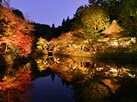 日本の秋の絶景 西日本篇まとめ③