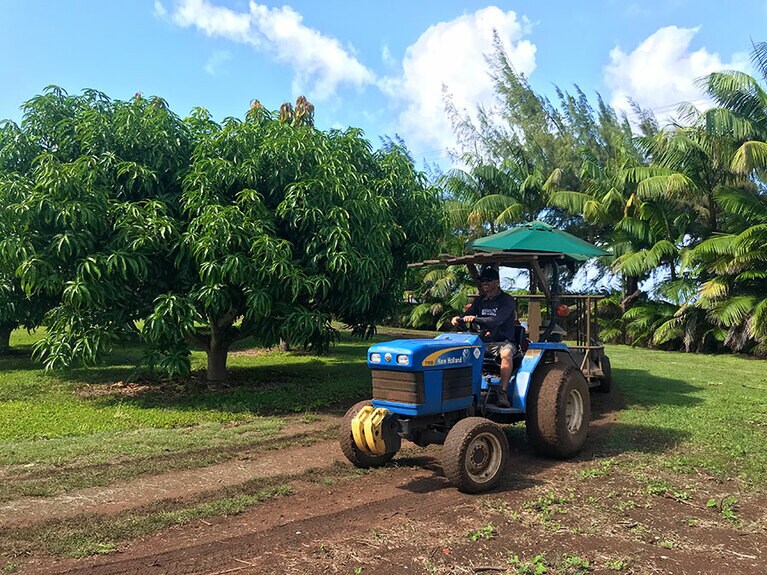 のどかな農園をぐるりと巡る、金～日曜 13:00限定の園内ツアーも必見。
