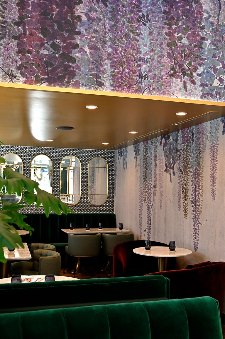 シェフの母が愛したという藤棚を壁紙に。