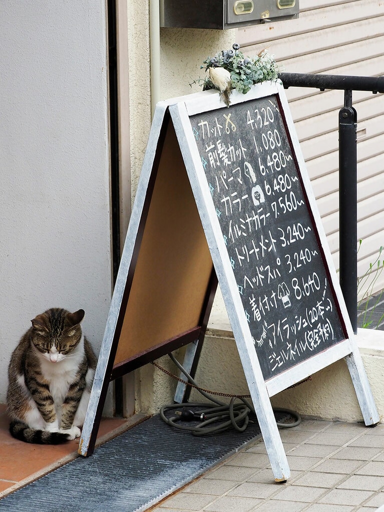 「前髪カットとヘッドスパに来たけれど……断られたのニャ……」