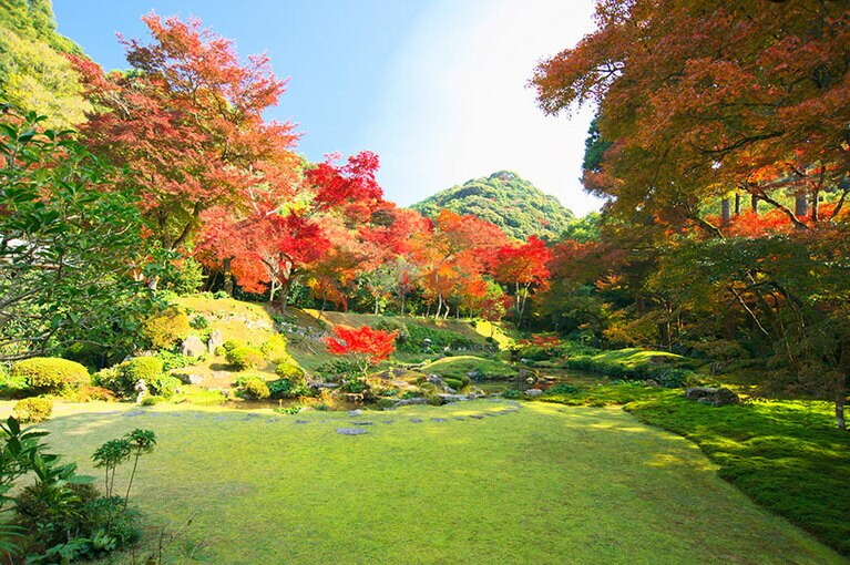 清水山一帯の紅葉。