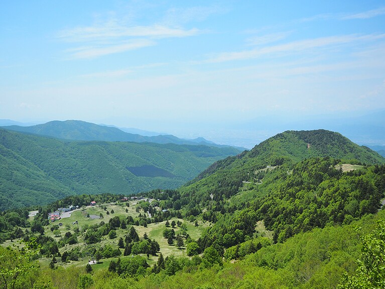 REDWOOD INN［長野／奥山田温泉］牧場。