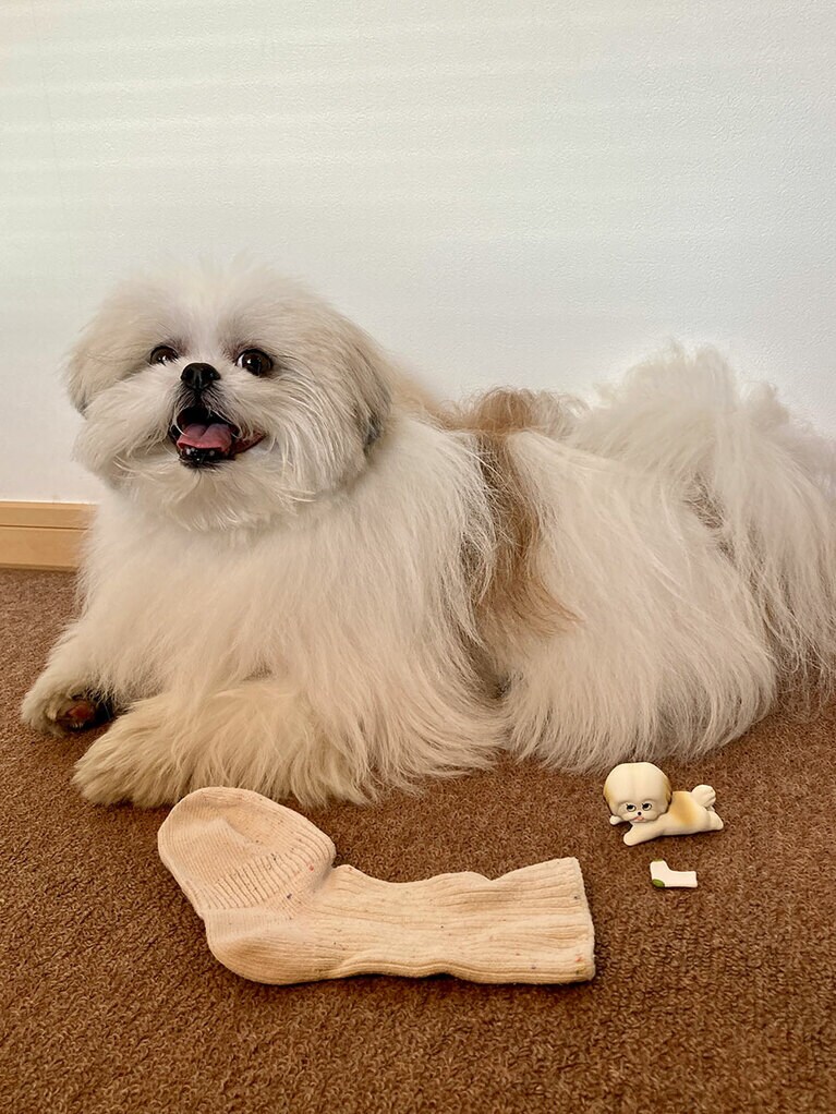 ミニチュアのマネをするモコゾウ。