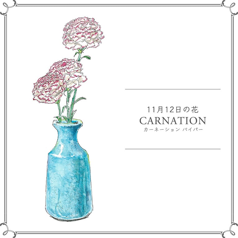 11月12日の花「カーネーション バイパー」