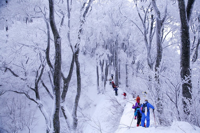 【鳥取県】大山の雪景色。🄫大山観光局