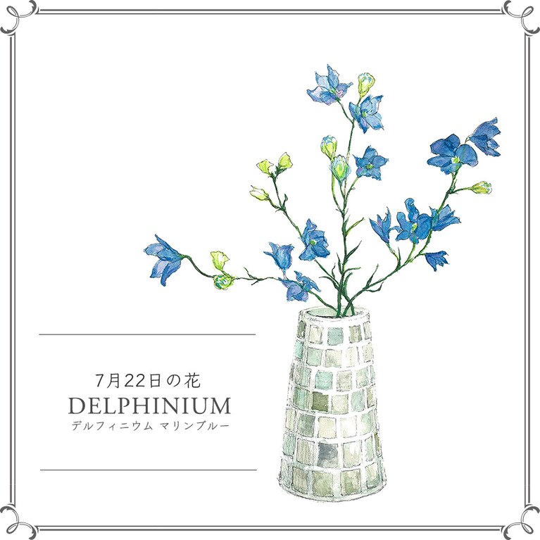 7月22日の花「デルフィニウム マリンブルー」