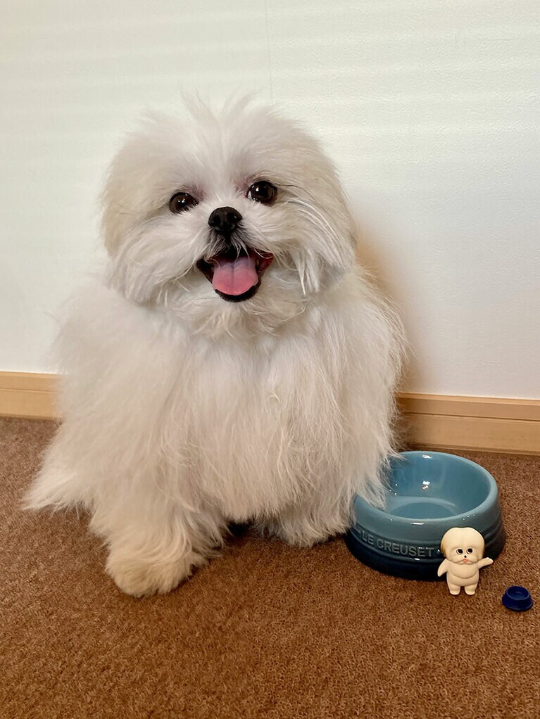 ミニチュアのマネをするモコゾウ。