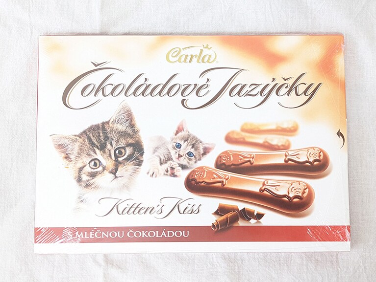 「買ってもいいよ」と訴えかけるような子猫のまなざしがたまりません。