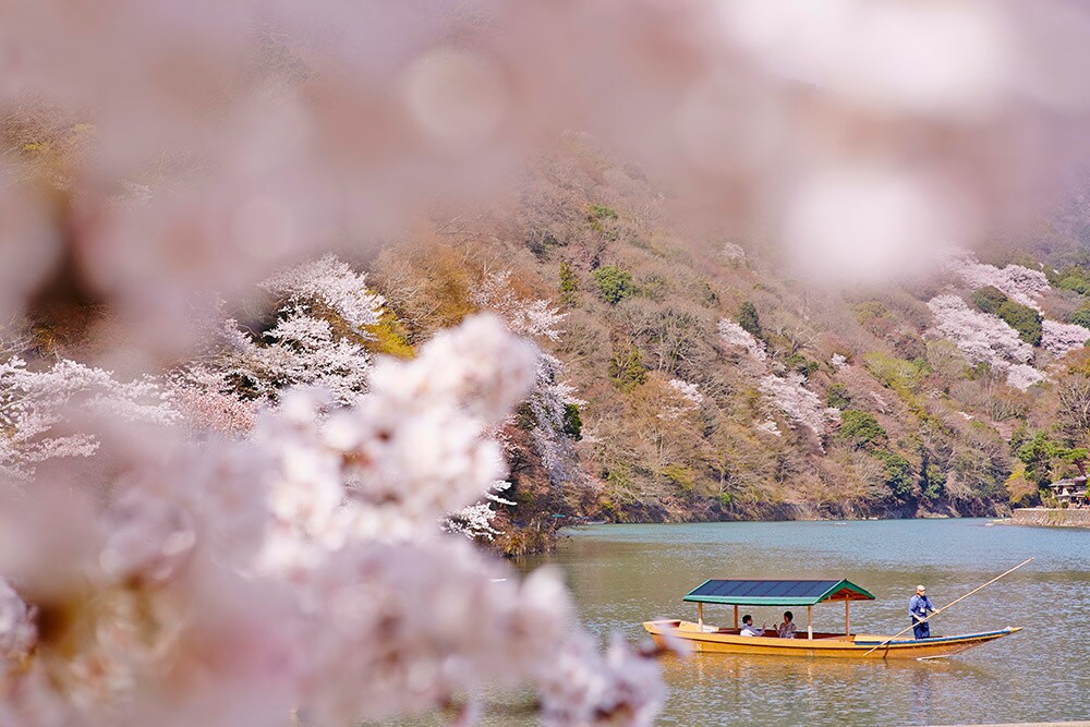 花見弁当とお茶3種とともに、守り継がれる桜景色を貸切舟の上で愛でる“奥嵐山の花見舟”は、2019年3月25日(月)～4月10日(水)の17日間だけの開催。星のや京都に滞在するゲストのみ1日1組(2～4名)限定で、料金は1名 17,500円(税・サ別／宿泊代別)。