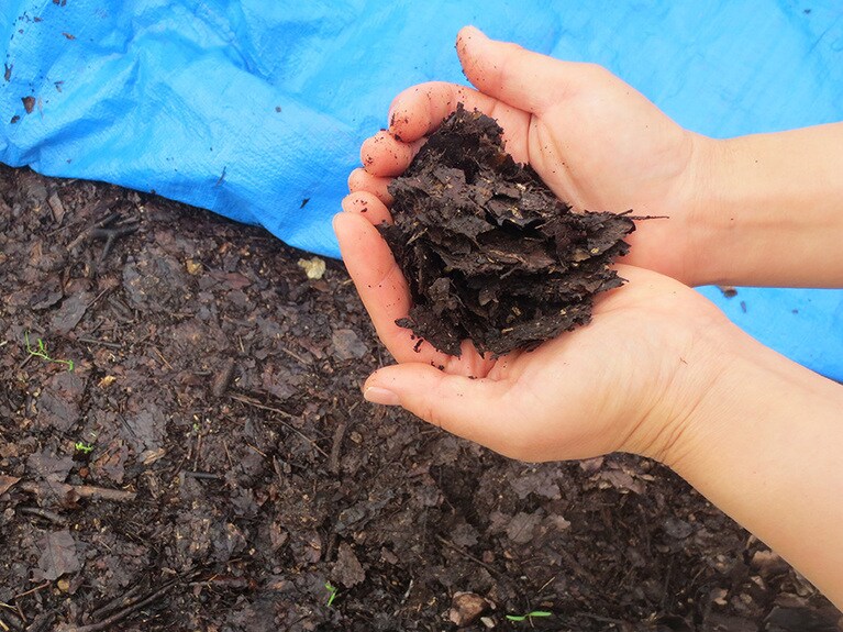 自家製の堆肥。