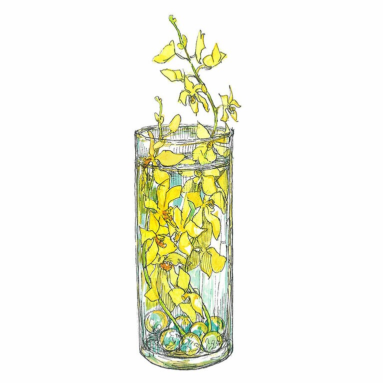 モカラ「モカライエロー」。