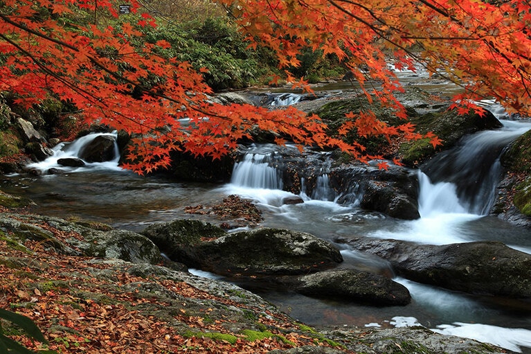 八重滝。