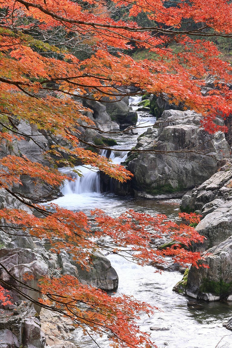 【滋賀県】大瀧神社・大蛇ヶ淵。