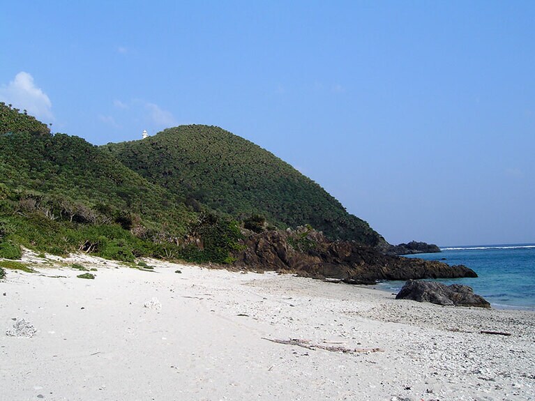 自然のパワーを感じるクマヤ海岸。浜に落ちている貝殻やサンゴのサイズも大き目。