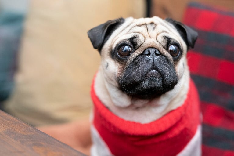 アザーカット。